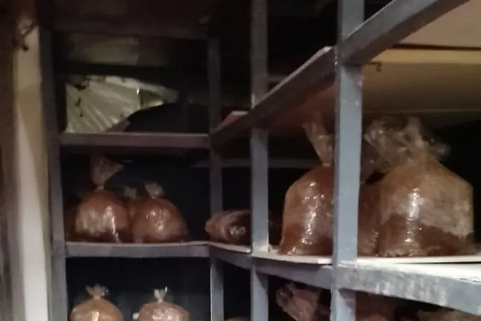 Funja renacer