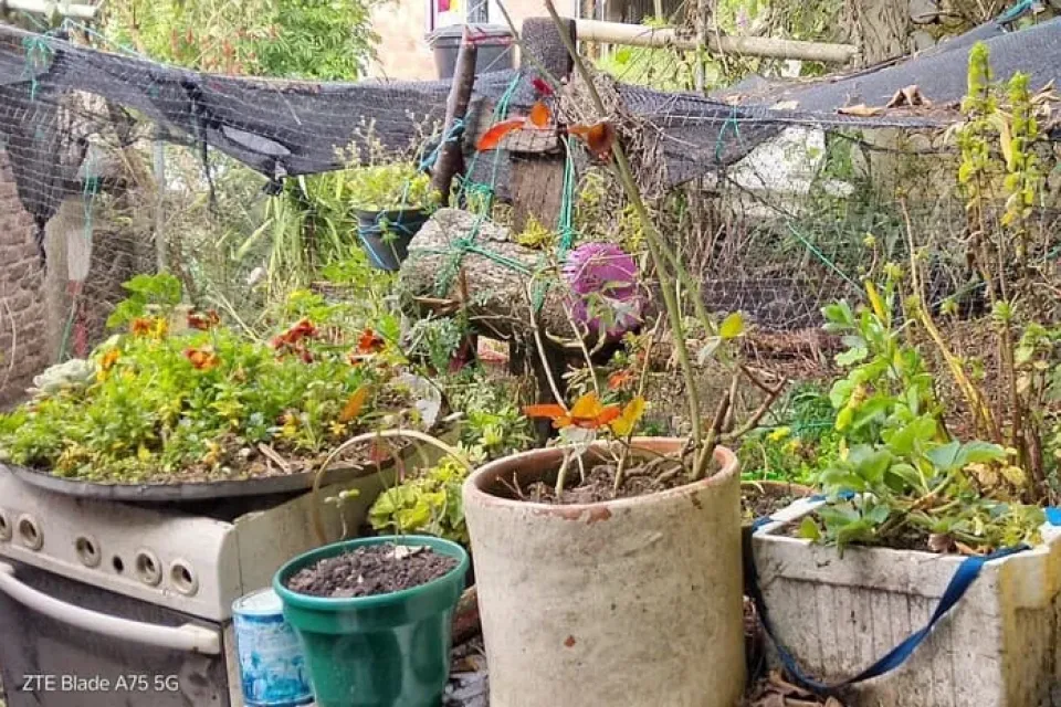 Huerta Mary