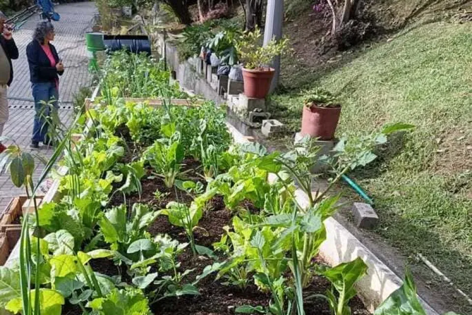 Huerta techetsa