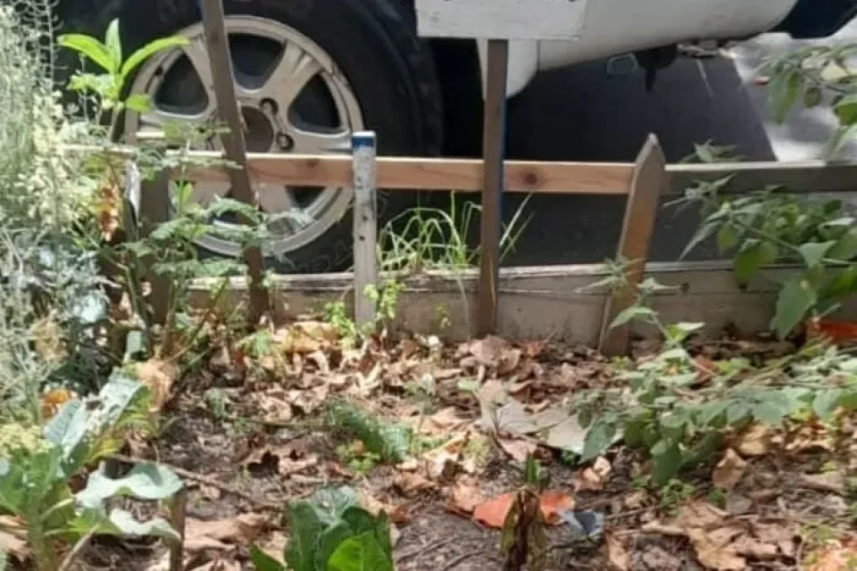 La jardinera