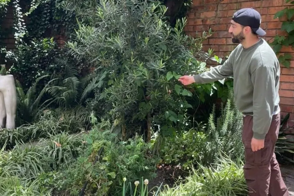 Mi huerta