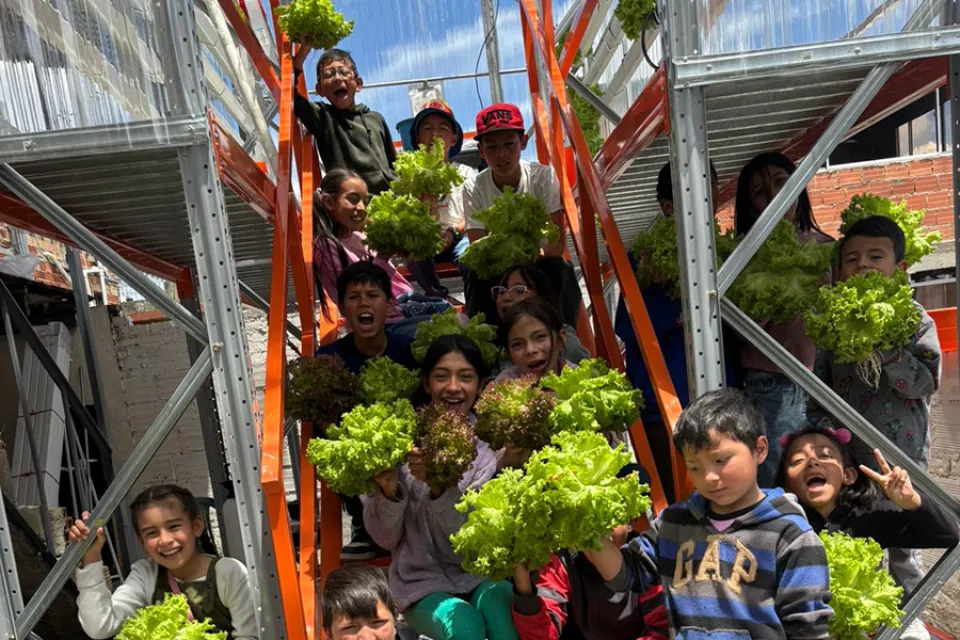 Territory, arquitecture, agriculture and community
